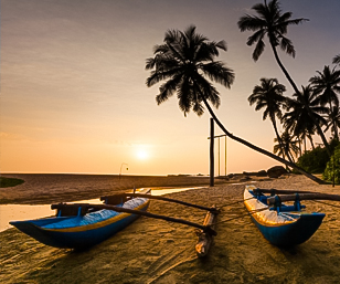 Golden Triangle Heritage Escape