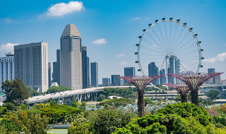 Singapore Dream Discovery